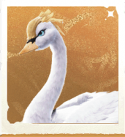 生物燕尾天鹅.png