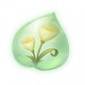 道具风絮草精粹.png