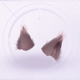 部件竹影昔年·灵踪01.png