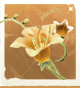 生物滋滋火花.png