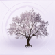 家具花树.png