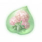 道具柔粉团团花精粹.png