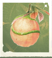 生物飞球树.png
