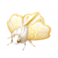道具刺绣蛾.png