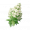 道具霜白铃铃草.png