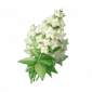道具霜白铃铃草.png