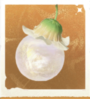 生物时光树.png