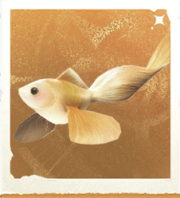 生物蝴蝶结鱼.png