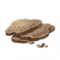 道具密林之息.png