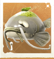 生物胡子鲶鱼.png