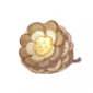 道具纽扣松果.png