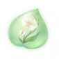 道具晴日蝶兰精粹.png