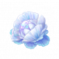 道具珠贝花.png