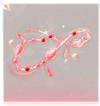 游鱼·手部红.png