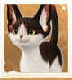 生物画眉猫.png