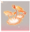 风荷·头部红.png