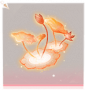 风荷·头部红.png