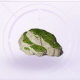 家具石块·凸.png