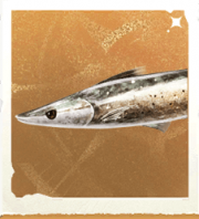 生物裁尺鱼.png