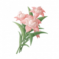 道具柔粉蓬蓬兰.png