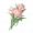 道具柔粉蓬蓬兰.png