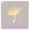 风之律·脚部黄.png