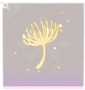 风之律·脚部黄.png