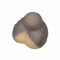 道具沙沙毛团.png