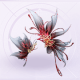 部件燃灼为花·灼梦01.png