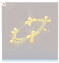 月桂兔·手部黄.png
