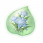 道具湖蓝蓬蓬兰精粹.png