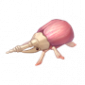 道具美甲金龟.png