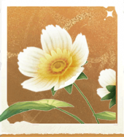 生物小绵菊.png