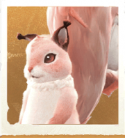 生物抱枕松鼠.png