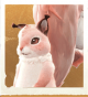 生物抱枕松鼠.png