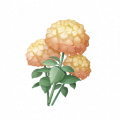 道具蜜粉双色团团花.png