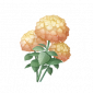 道具蜜粉双色团团花.png
