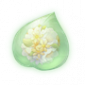 道具滚滚花球精粹.png