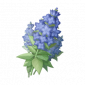 道具湖蓝铃铃草.png