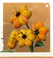 生物荷包草.png