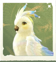 生物珠冠鹦鹉.png