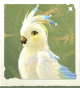 生物珠冠鹦鹉.png