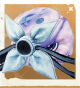 生物彷徨荷包.png