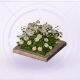家具新月花坛.png
