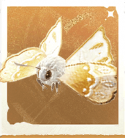 生物刺绣蛾.png