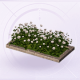 家具月光花坛.png