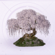家具暖色花树.png