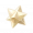 道具灿陨星.png