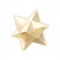 道具灿陨星.png