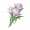 道具橙紫双色蓬蓬兰.png